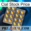 Cial Stock Price cialis2